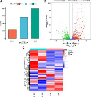 Long-chain noncoding RNA sequencing analysis reveals the molecular profiles of chemically induced mammary epithelial cells